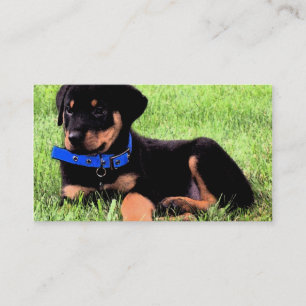 Cartão De Visita cachorrinho