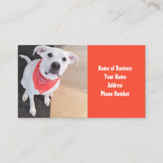 Cartão De Visita Cachorro Branco Cachorro Vestindo Laranja-De-Febre