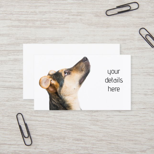Cartão De Visita Cachorro engraçado (Frente/Verso In Situ)