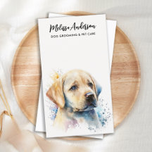Cachorro Pet Sitter Yellow Labrador Puppy