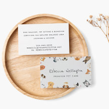 Cães Cachorros Cachorros Pet Sitter Cachorro