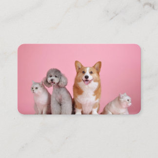 Cartão De Visita Cães e gatos