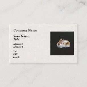 Cartão De Visita Calico Rabbit