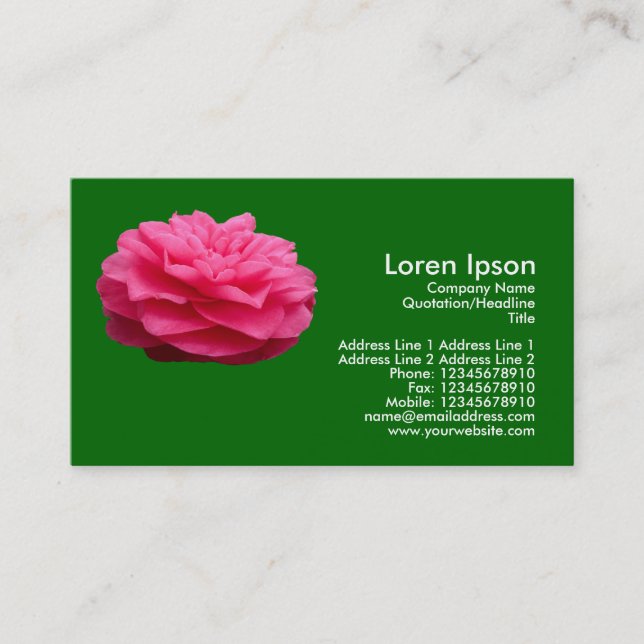 Cartão De Visita Camelia Rosa - Verde Grass (Frente)