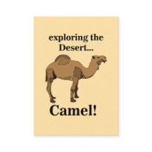 Camelo Animal do Deserto Engraçado