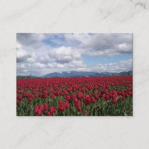Cartão De Visita Campo vermelho da tulipa