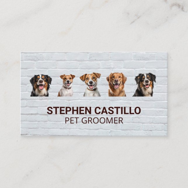 Cartão De Visita Caninos Sorridentes | Muro de tijolos (Frente)