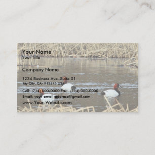 Cartão De Visita Canvasback drakes