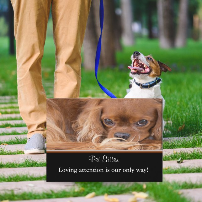 Cartão De Visita Cão Cuidador Ruby Cavalier King Charles Spaniel  (Charming pet sitting business card - warmth, trust, and cuteness unleashed!)