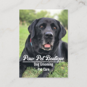 Cartão De Visita Cão Groomer Pet Care Puppy Walker