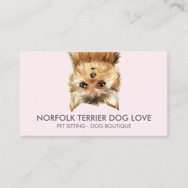 Cartão De Visita Cão Norfolk Terrier (Frente)
