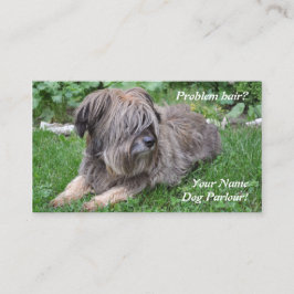 Cartão De Visita Cão que prepara o sheepdog peludo