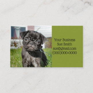 Cartão De Visita Cãozinho preto