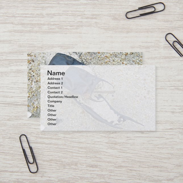 Cartão De Visita Capas de ovos skates na praia (Frente/Verso In Situ)