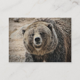 Cartão De Visita Cara bonito do urso de urso do animal selvagem