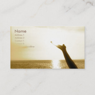 Cartão De Visita Cara da aviação do deus