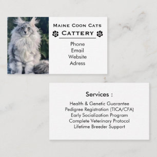 Cartão De Visita Cattery de Maine Coon Elegante & Criador Profissio