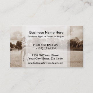 Cartão De Visita cavalo branco no pasto que pasta o sepia