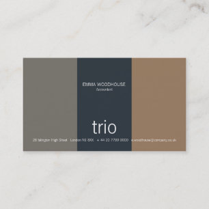 Cartão De Visita Cerceta do trio, cinza & luz - marrom
