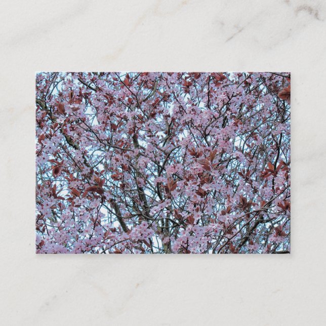 Cartão De Visita Cherry Blossom (Frente)