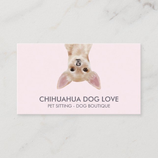 Cartão De Visita Chihuahua Dog (Frente)