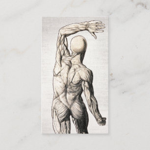 Cartão De Visita Chiropractic Vintage Anatomy Linen Chiropractor