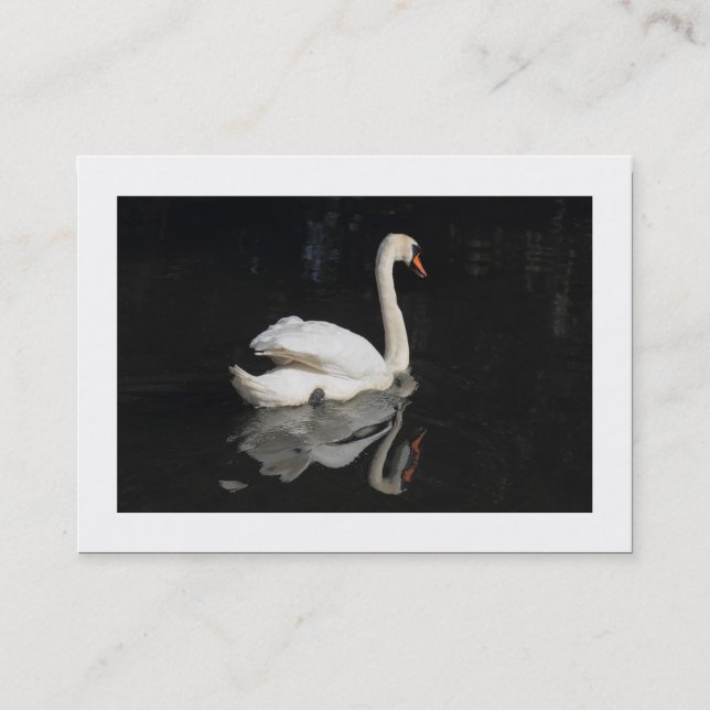 Cartão De Visita Cisne (Bordado) (Frente)