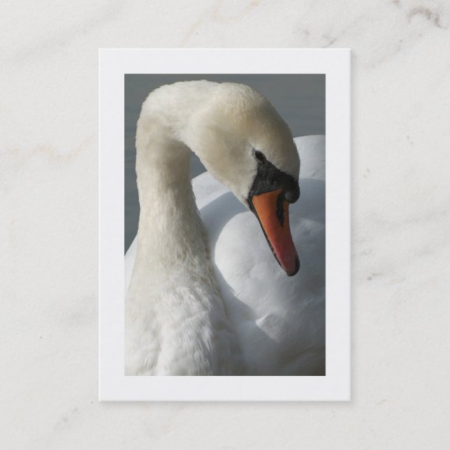Cartão De Visita Cisne (Bordado) (Frente)