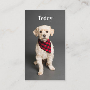 Cartão De Visita Código QR da Mídia Social Puppy Dog Pet Puppy Pet 