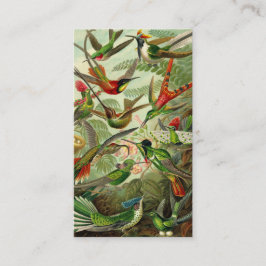 Cartão De Visita Colibri do Trochilidae de Ernst Haeckel