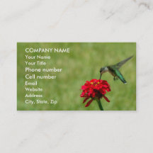 Colibri e Zinnia vermelho