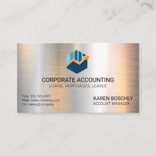 Cartão De Visita Contabilidade do Gráfico de bares   Ícone Money   