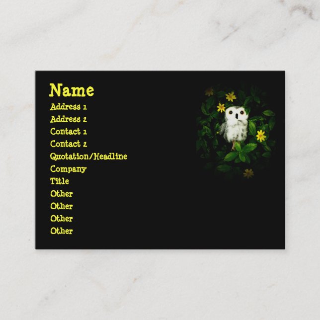 Cartão De Visita Coruja pequena Namecard das estrelas da cintilação (Frente)