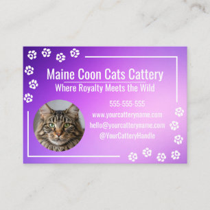 Cartão De Visita Cria de Maine Coon com Gradiente Roxo Moderno