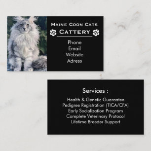 Cartão De Visita Cria de Maine Coon & Criador Profissional Preto