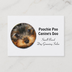 Cartão De Visita Criador de Cães Pequenos Profissional 3,5" x 2,5"