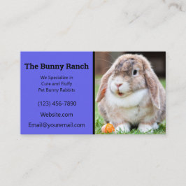 Cartão De Visita Criador de Coelho Azul