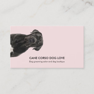 Cartão De Visita Cuidado e Hospedagem de Cane Corso Passeando e Cui