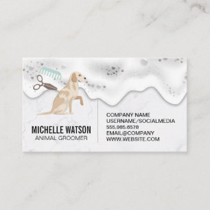 Cartão De Visita Cuidados de saúde   Sapos De Lavagem De Cães