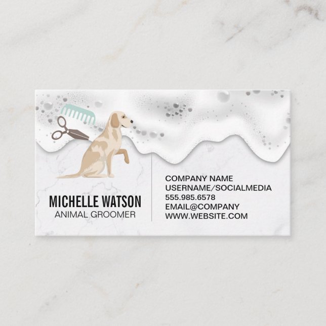Cartão De Visita Cuidados de saúde | Sapos De Lavagem De Cães (Frente)