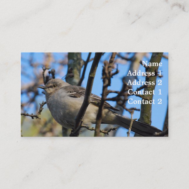 Cartão de visita da fotografia (Frente)