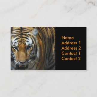 cartão de visita da fotografia