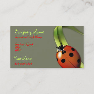 cartão de visita da Lady Bug