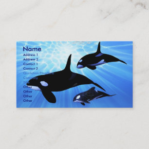 CARTÃO DE VISITA DA LUZ ECHO