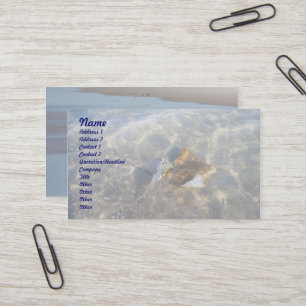 Cartão de visita da Série Cownose Stingray OBX