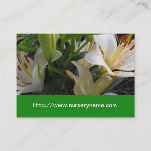 cartão de visita da white lily nursery