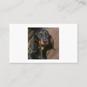 Cartão De Visita dachshund preto e bronzeado