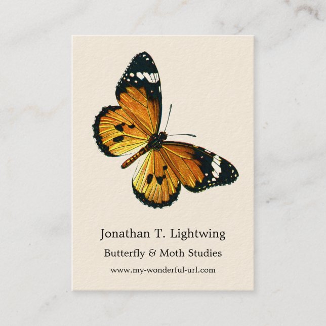 Cartão De Visita Danaus chrysippus - Plain Tiger ou African Queen (Frente)