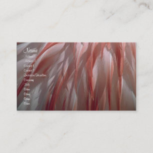 Cartão de visita das penas