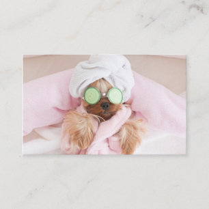 cartão de visita de aliciamento de cães